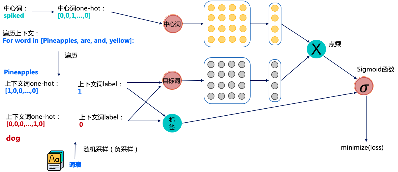 使用负采样策略训练Skip-gram模型